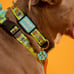 Loungefly Pets Full Scooby Set