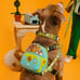 Loungefly Pets Full Scooby Set