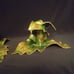 2 Vintage Pat Young Handmade Ceramic Candlestick Holders Florida Leaves