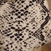 balance athletica Python Kingdom legging