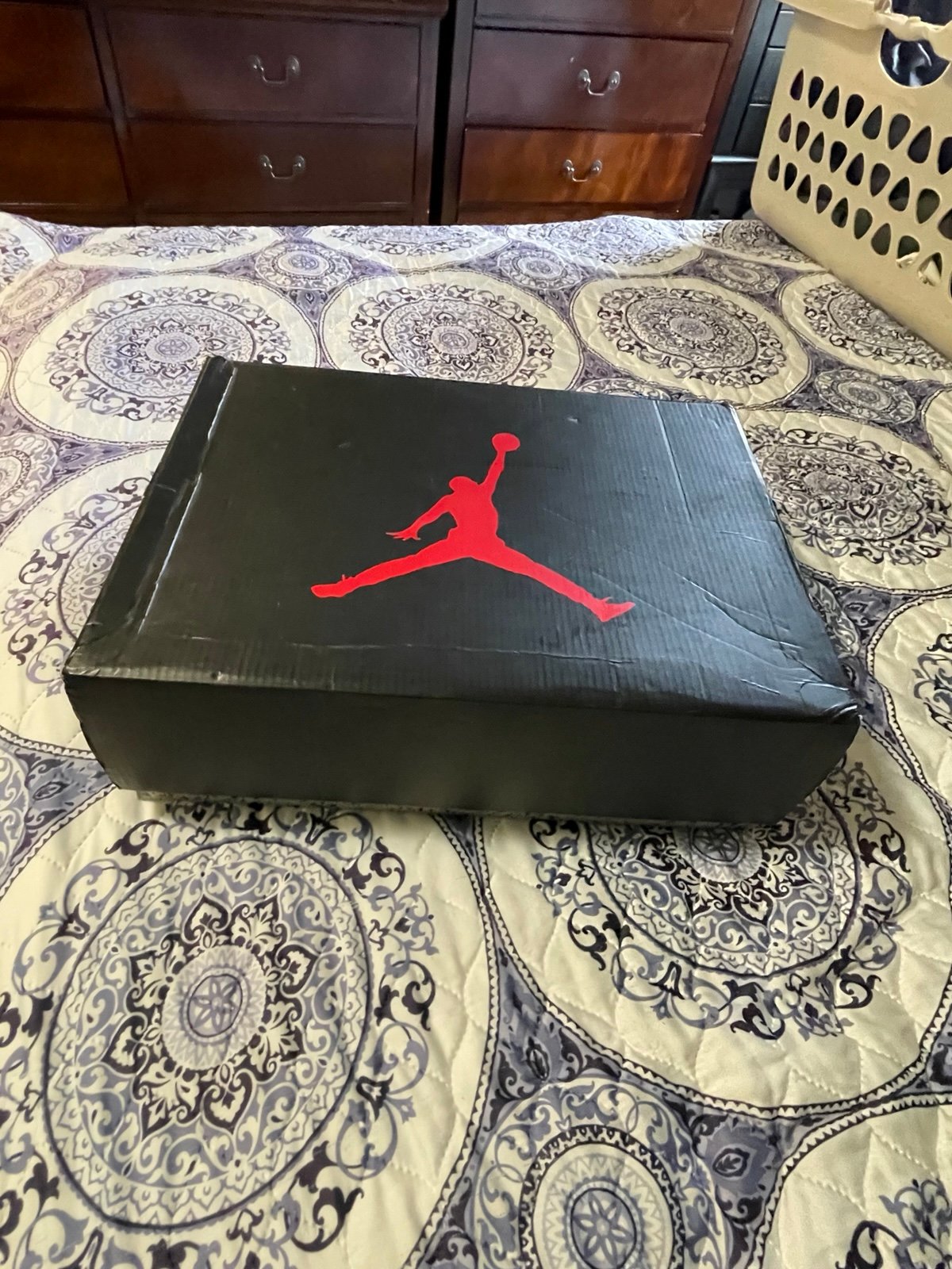 Brand new Jordan 6 All Star size 13