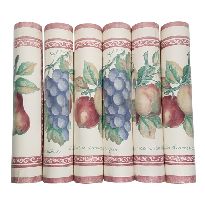 Wallpaper Border Lot of 12 Rolls 10.25 Mauve Frame Fruit Kingfisher 26118 VTG