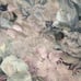 ATELIER MARTEX KING SIZE FLORAL SPLIT CORNER 16.5” drop BEDSKIRT WESTPOINT NWOT