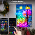 Christmas Wall Light Canvas Picture With LED Lights Outdoor Indoor Decor 20 x28