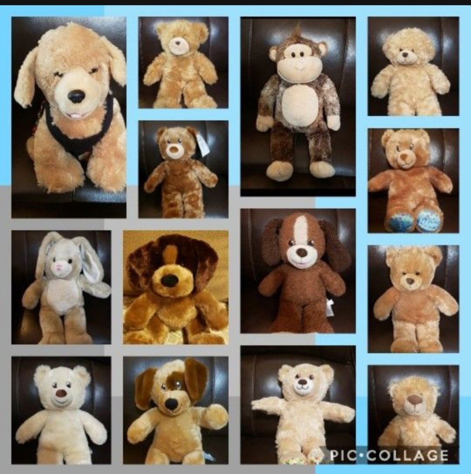Lot of 14 assorted bears 125