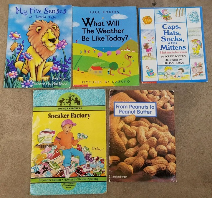 Teacher Big Books Lot Of 5 Oversize Easel Classroom Read Along Kindergarten 1st