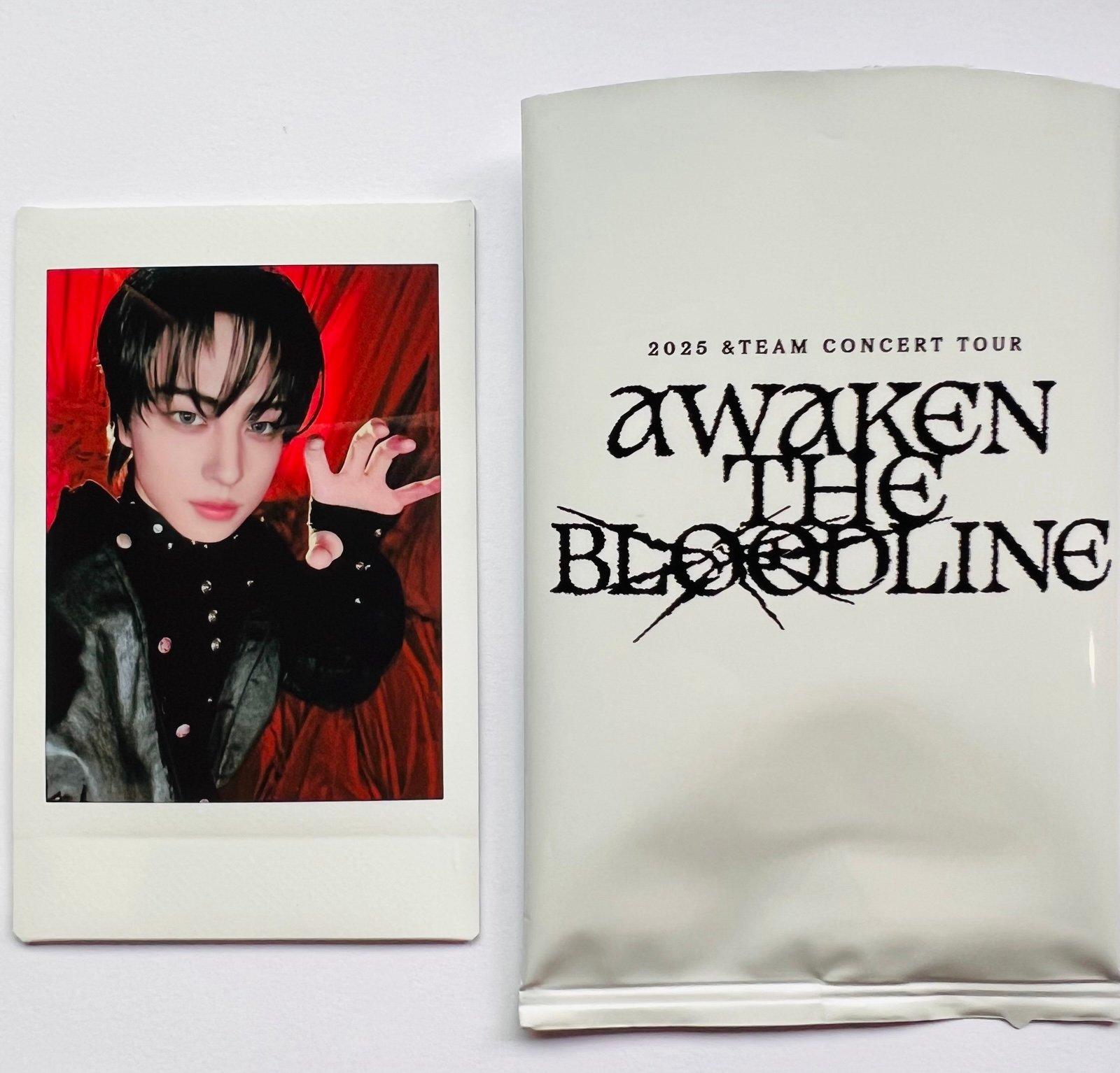 &TEAM AWAKEN THE BLOODLINE ツアー グッズ Tシャツ他 - メルカリ