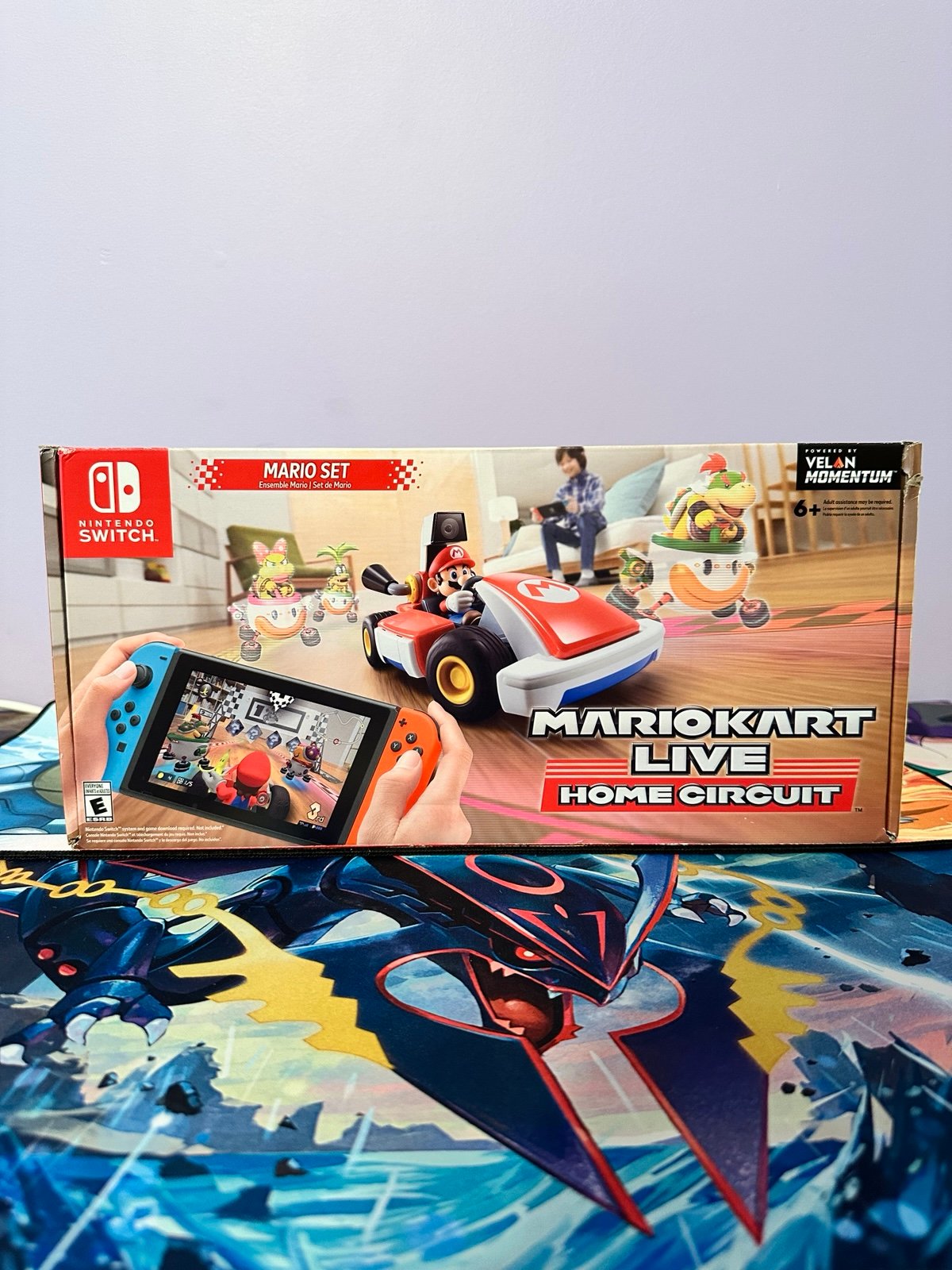 Mario Kart Live Home Circuit