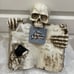 Halloween Skull Book Decor