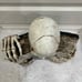 Halloween Skull Book Decor