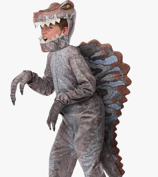 Designer boys girls medium clothes dinosaur spinosaurus costume Jurassic park