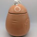 Starbucks Asia 12oz carrot mug with lid BNWT