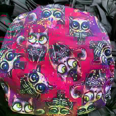 Mama koala spooky cats