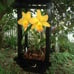 Premium Hanging Baskets Lantern