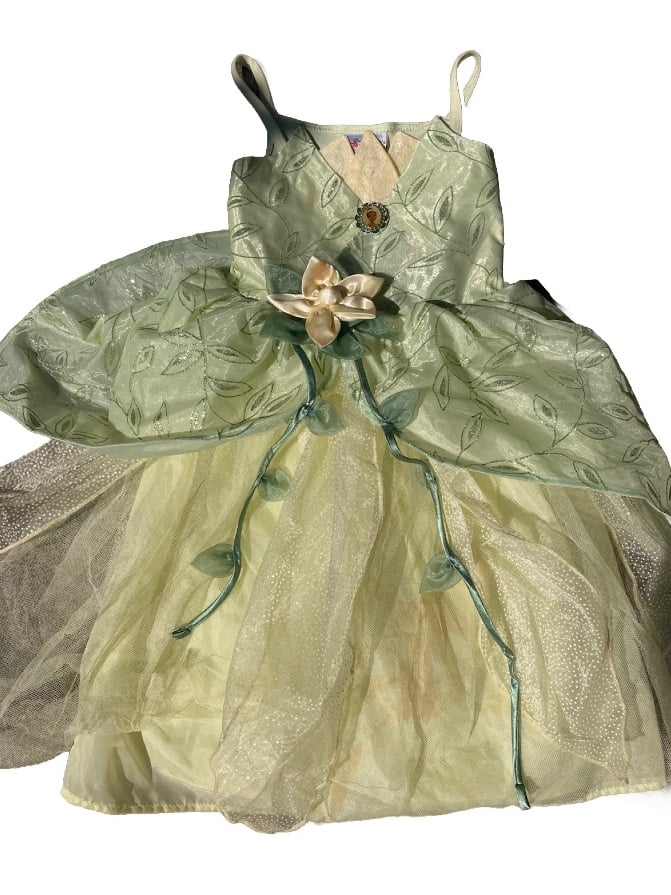 Disney Parks Castle Collection Tiana Costume Princess & Frog Child Size S 6/6x