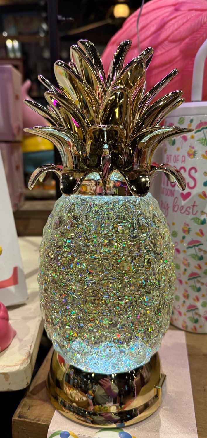 Brand New Acrylic Pineapple Glitter Globe