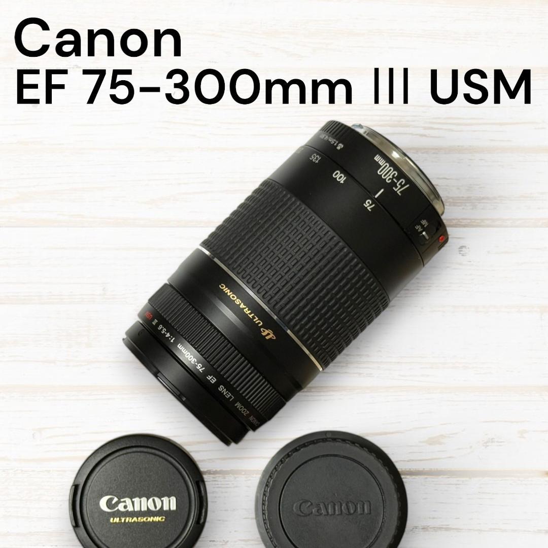 Canon Telephoto Lens EF 75-300mm F4-5.6 Ⅲ USM #64