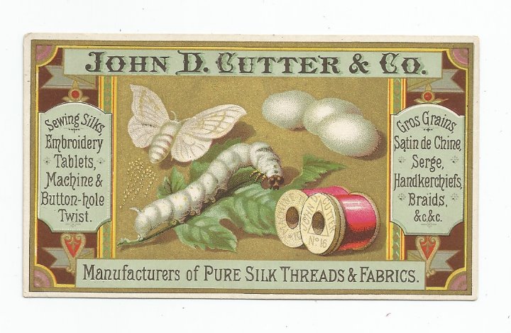 1880's Moth Silk Worm John D. Cutter & C