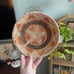 Navajo Wedding Basket