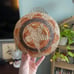 Navajo Wedding Basket