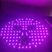 Red Light Therapy Mask for Face, Blue Red Light Therapy Mask for Face, 7 Colors