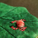 embroidery art