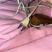Desk lamp vtg imar flex dark tan color