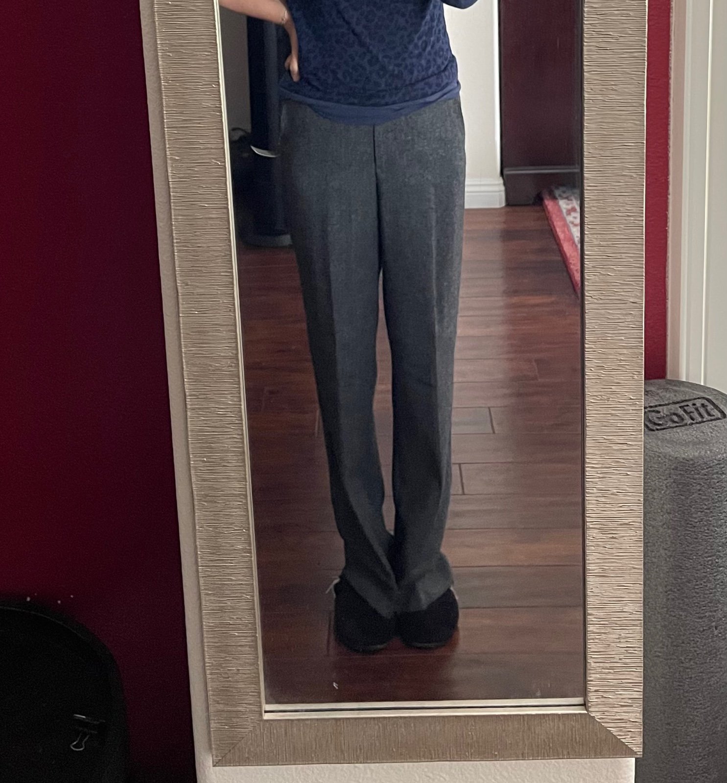 NWT Boston Pant low rise relaxed wide leg pant size 2