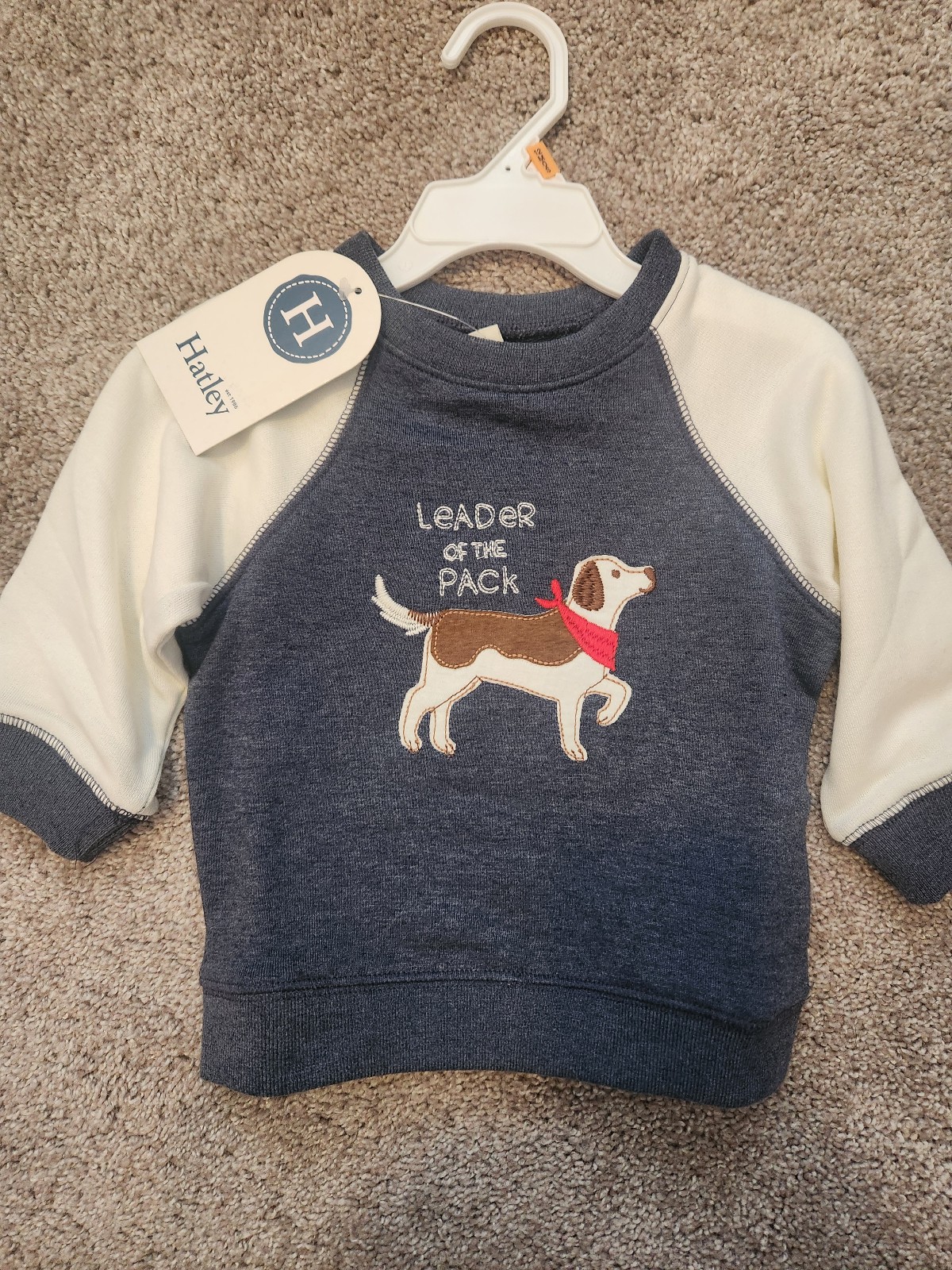 Hatley pups pullover sweatshirt & kanga pocket joggers