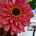 Paper flowers