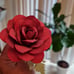 Paper flowers