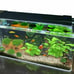 AquaHue Bluetooth Smart Full Spectrum LED Aquarium Light, Fish Tank Light with E