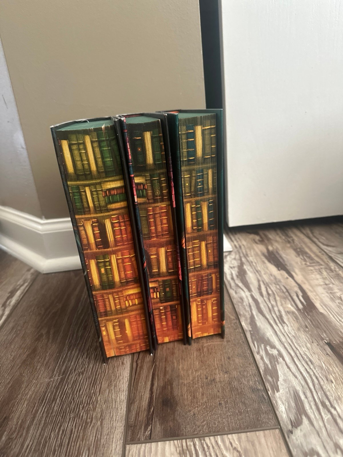 Locked Library, book that wouldn’t burn, broke the world, held her heart trilogy