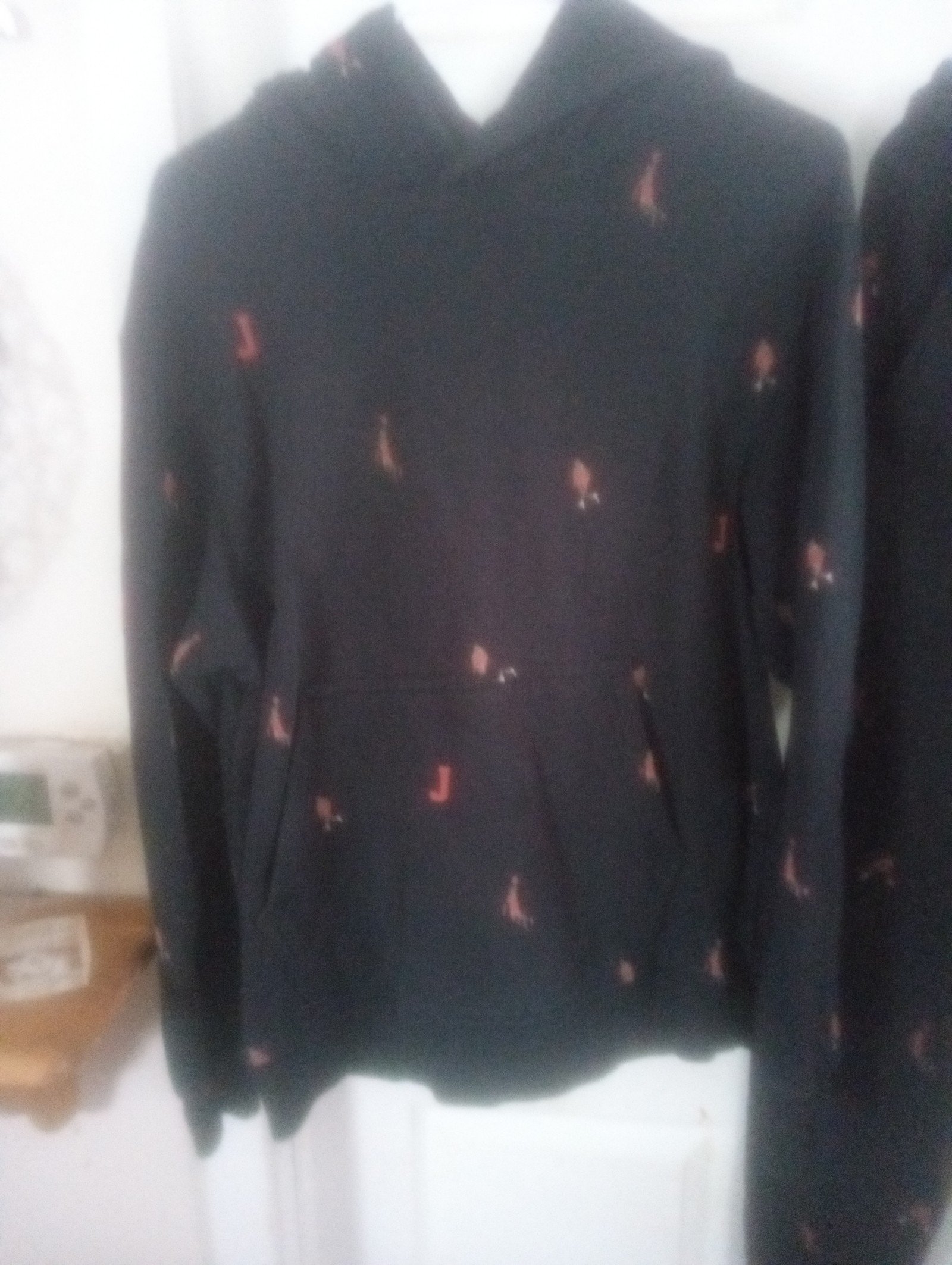 Jordan jogging suit