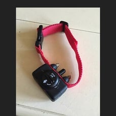 Petsafe Bark Collar - shock training correction