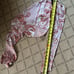 Cotton Candy LA paisley paterrn scarf top NWOT XS