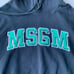 MSGM Cropped Logo Hoodie