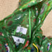 Enchanted Tiki Room Rain Jacket for Adults NWT size Large