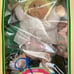 12 Cabbage Patch Kid Dolls -sold separately