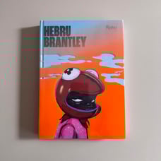 HEBRU BRANTLEY Portfolio