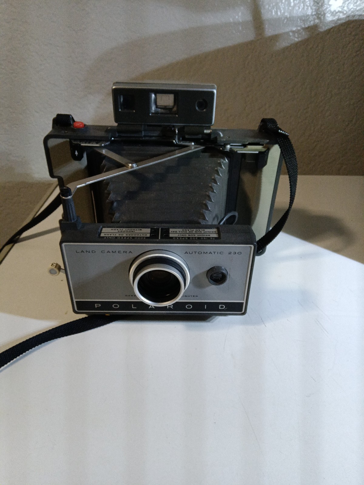 Polaroid