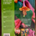 The New Sunset Western Garden Book: The Ultimate Gardening Guide- HC