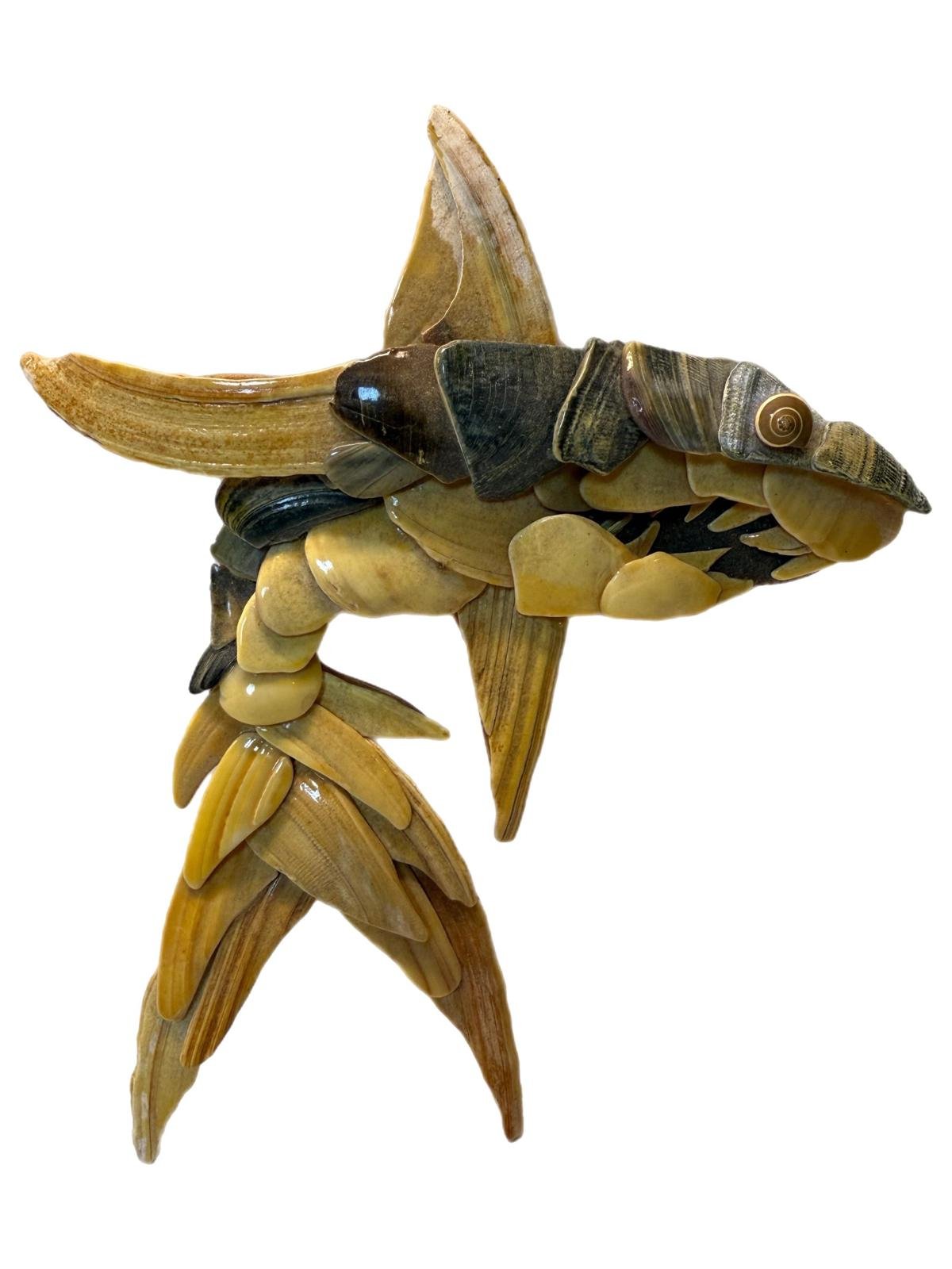 2006 Ken Swaine Wood Back + Real Sea Shell Shark Wall Art Hanging