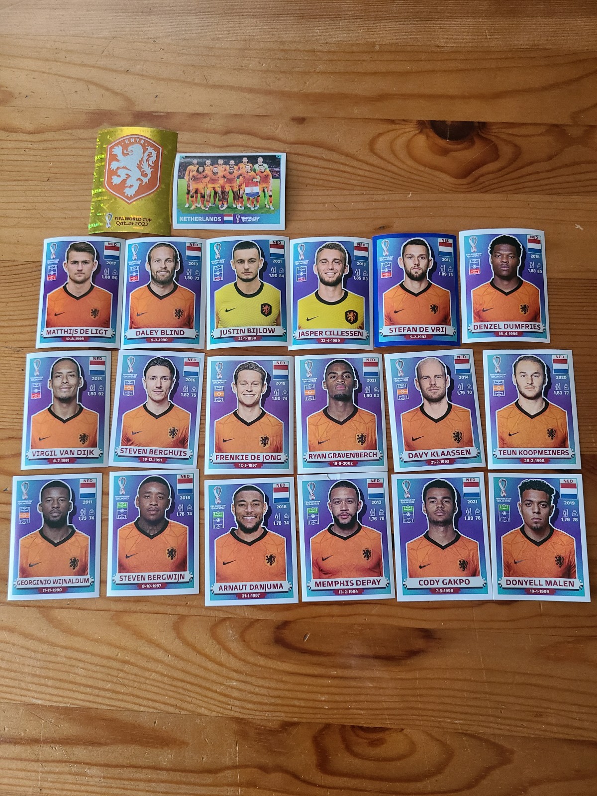 NEDERLAND TEAM FIFA WORLD CUP QATAR