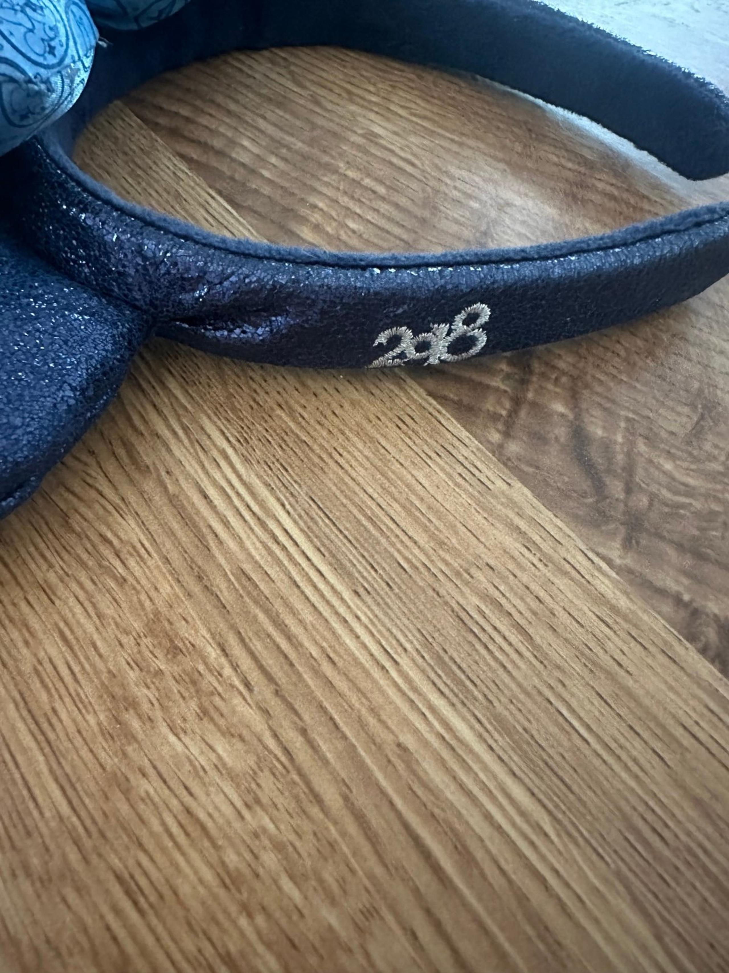 2018 Walt Disney World Blue Park Minnie Ears