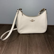 Coach Teri Hobo Bag
