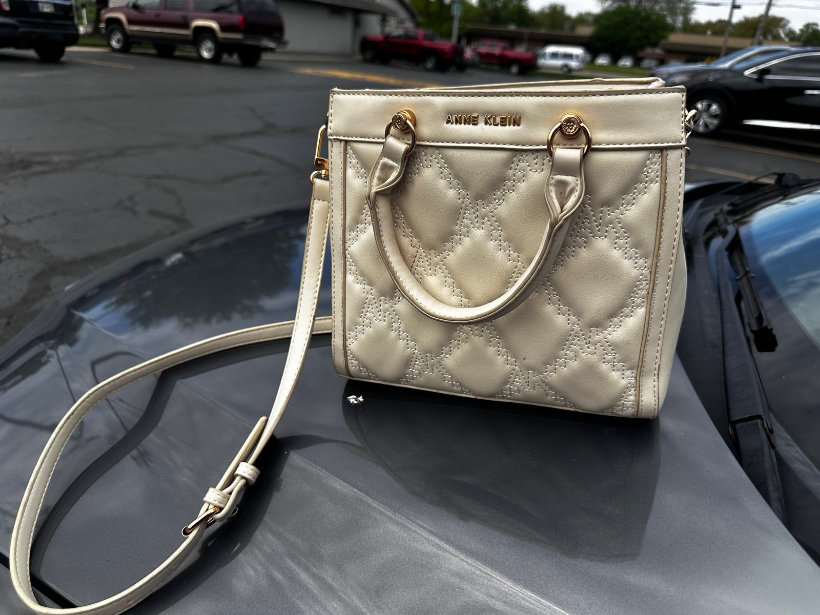 Anne Klein Bag