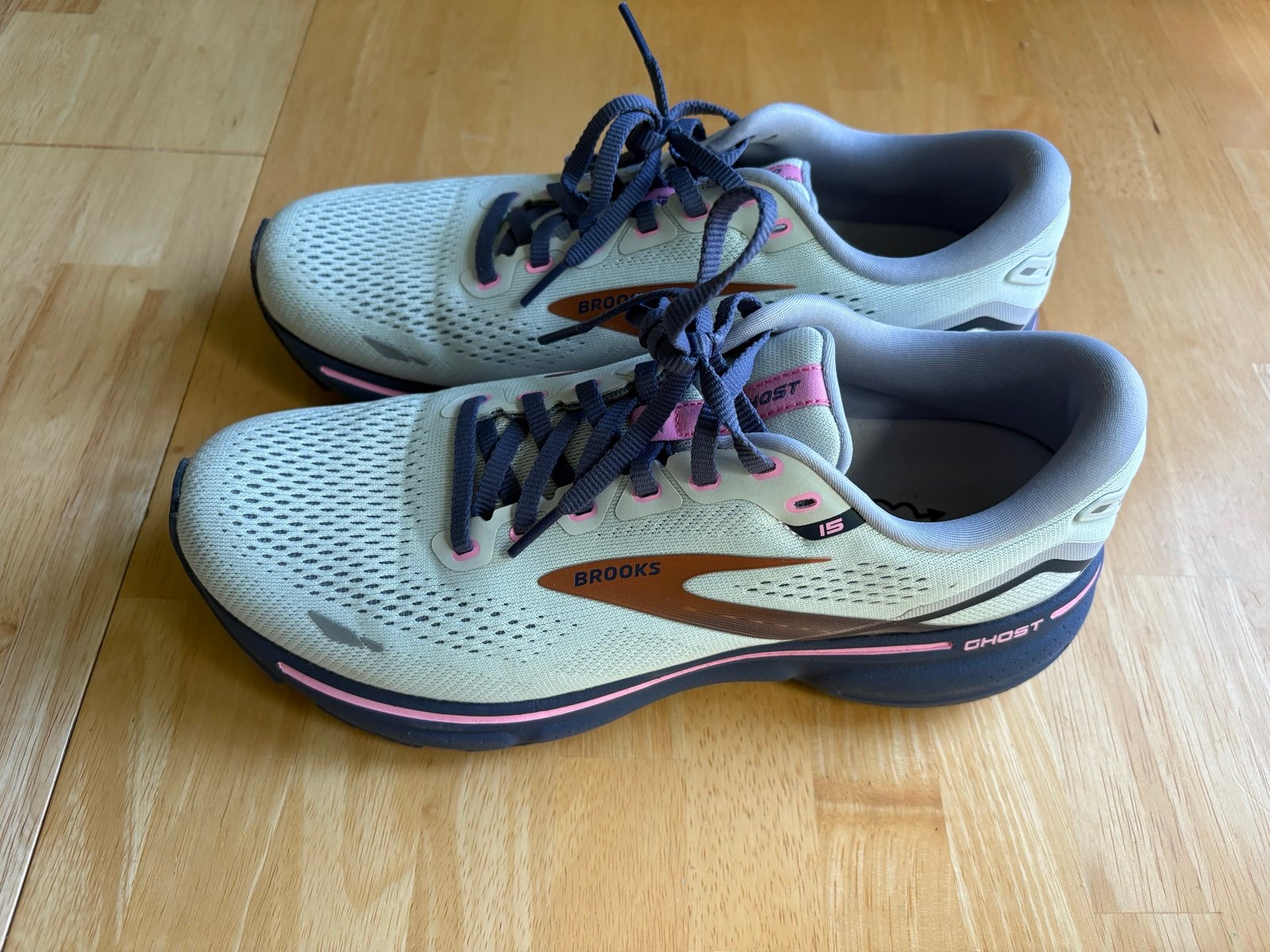 Brooks Ghost 15 Women’s 10 B