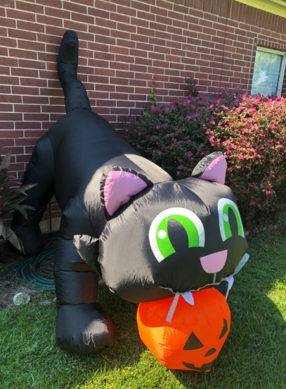 8Ft Halloween Giant Black Cat with Pumpkin Inflatable LED Lights Decor Outdoor