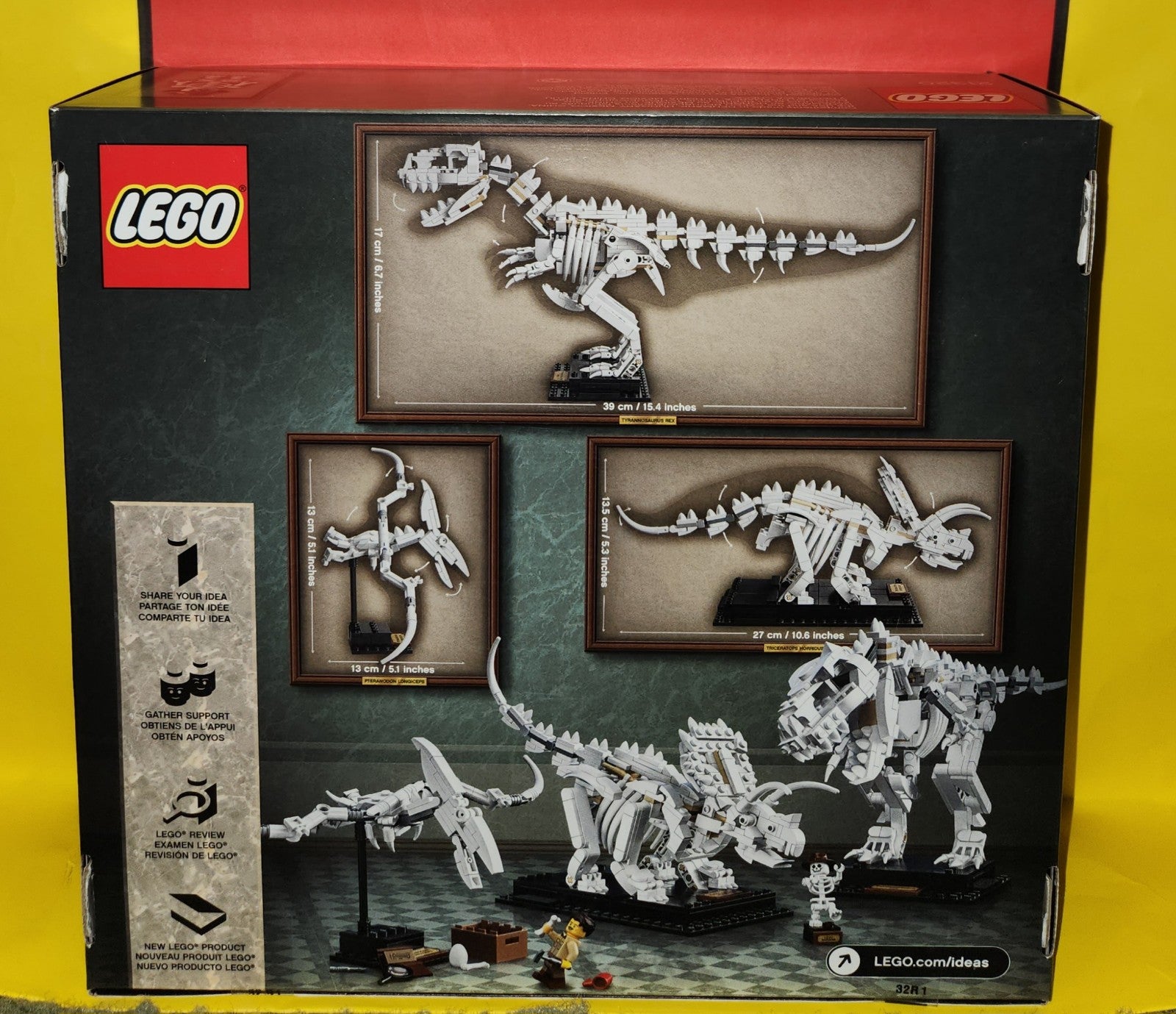 Ideas: dinosaur fossils shops
